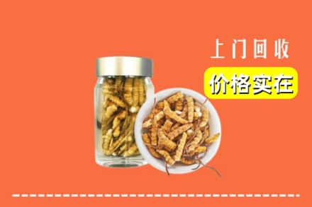 中阳县回收散虫草