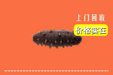 中阳县回收海参