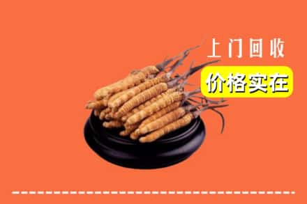 中阳县回收冬虫夏草